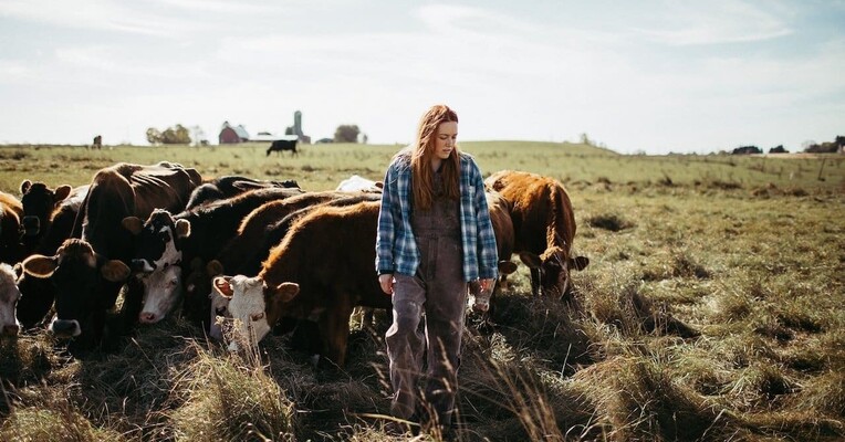 سبز و طلایی - پس‌زمینه