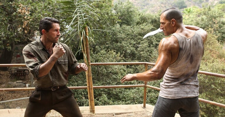 سگ وحشی - پس‌زمینه