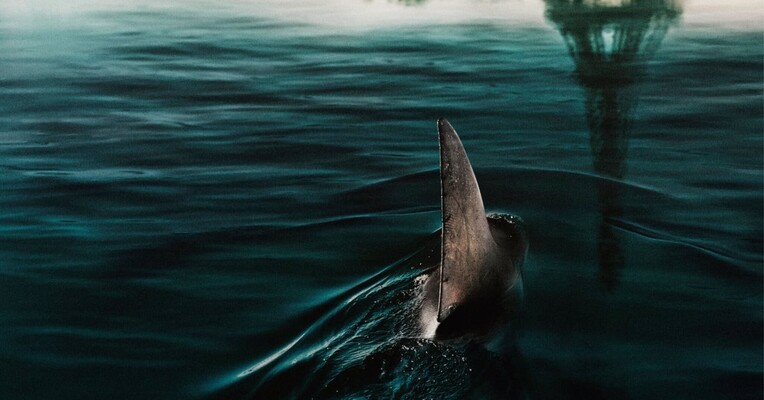 زیر پاریس - پس‌زمینه