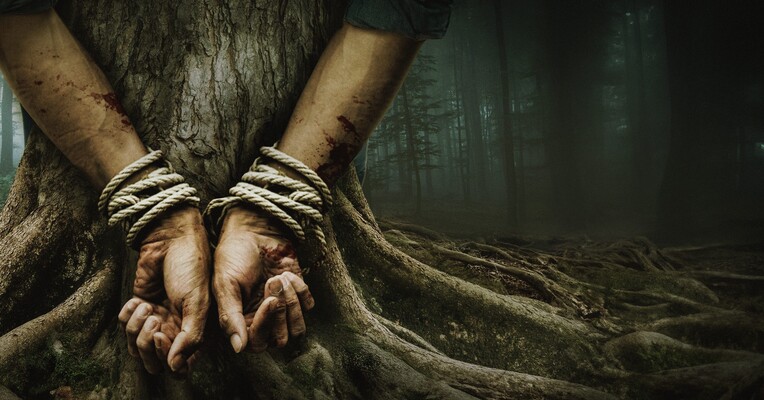 پارس: ندای وحشت - پس‌زمینه