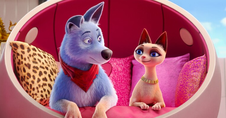 اتحاد حیوانات خانگی - پس‌زمینه