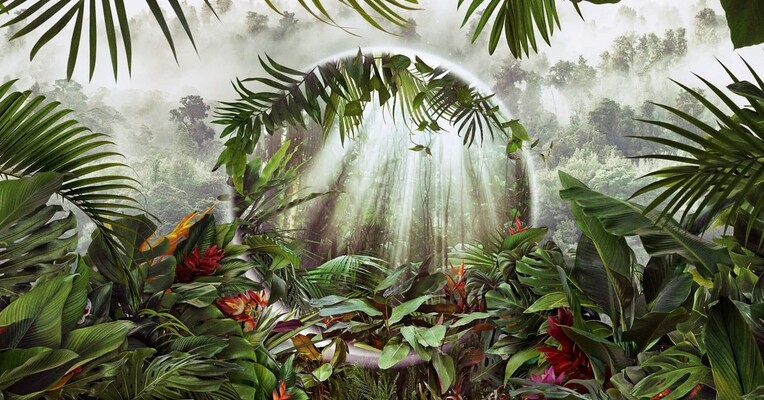 سیاره سبز - پس‌زمینه