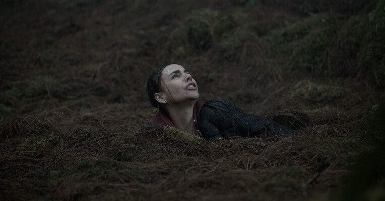 باتلاق شنی - پس‌زمینه