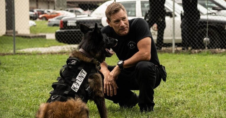 پوزه بند - پس‌زمینه