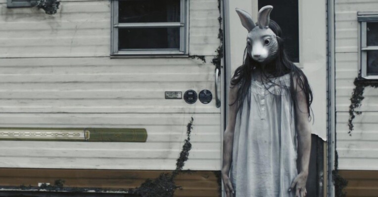 جنگل خاکستری - پس‌زمینه