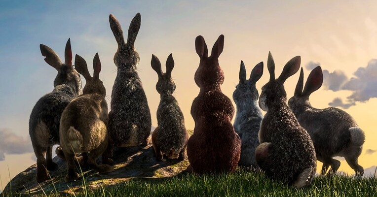 تپه خرگوش‌ها - پس‌زمینه