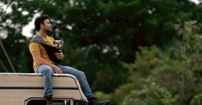 سگ ها در جاده - پس‌زمینه