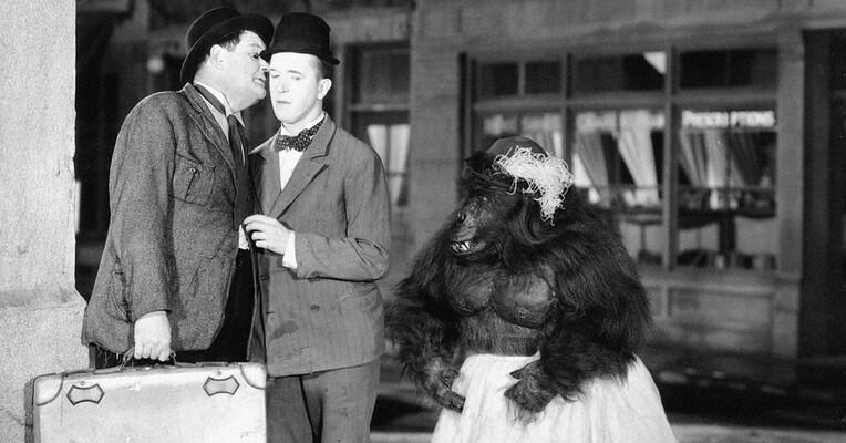 شامپانزه - پس‌زمینه