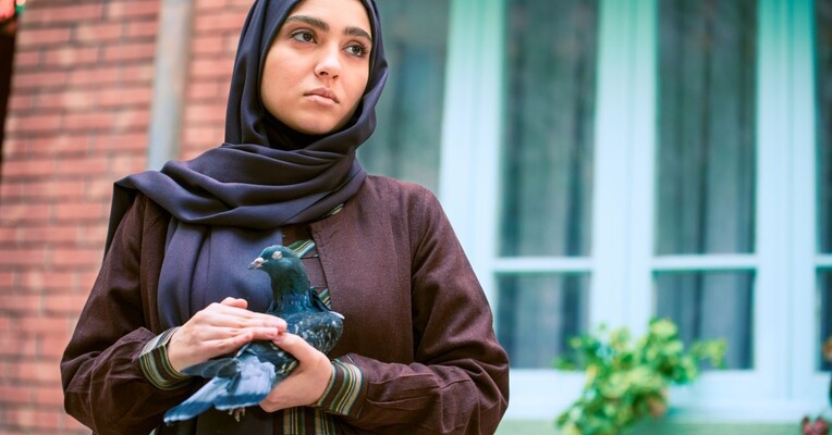 شیوا - پس‌زمینه