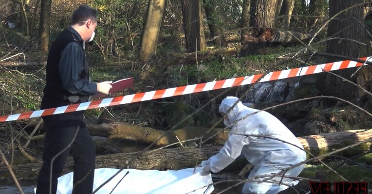 طاعون - پس‌زمینه