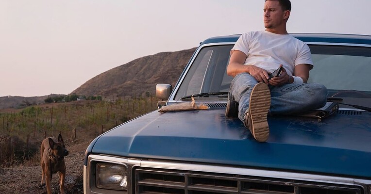 سگ - پس‌زمینه