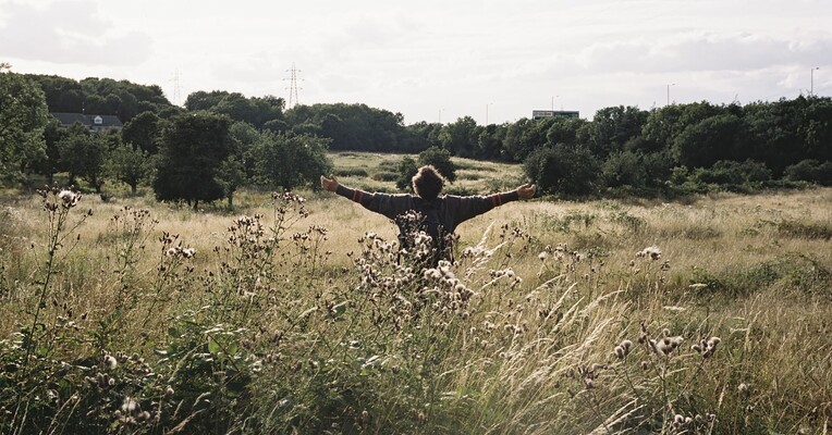 پرنده - پس‌زمینه