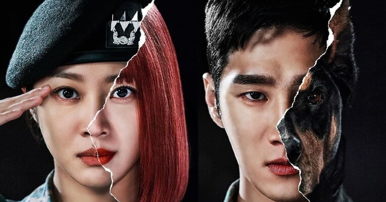 دوبرمن، دادستان نظامی - پس‌زمینه