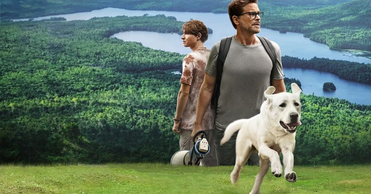 سگ گمشده - پس‌زمینه