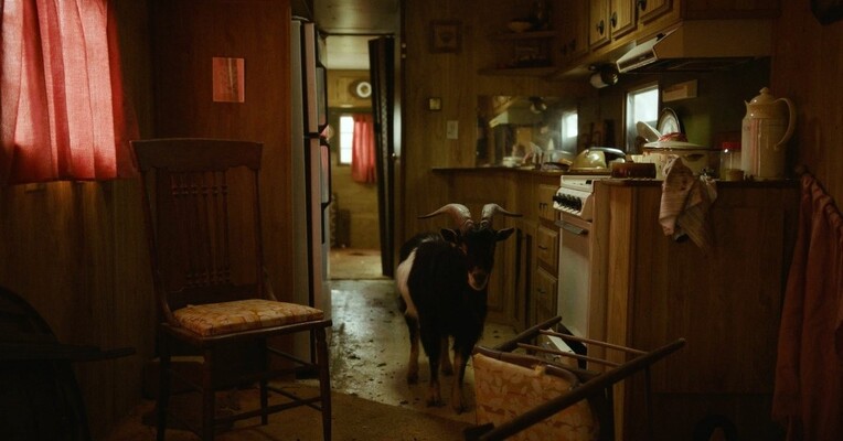 خواب زمستانی انسان‌ها - پس‌زمینه