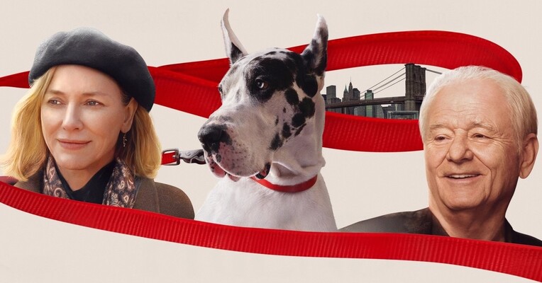 دوست - پس‌زمینه