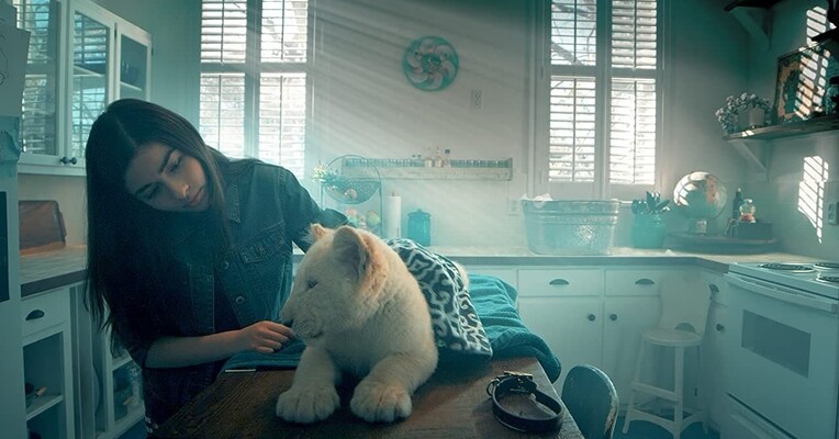 لنا و اسنوبال - پس‌زمینه