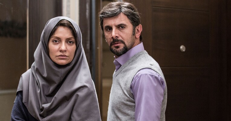 دارکوب - پس‌زمینه