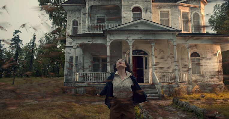 قفسه عجایب گیرمو دل تورو - پس‌زمینه