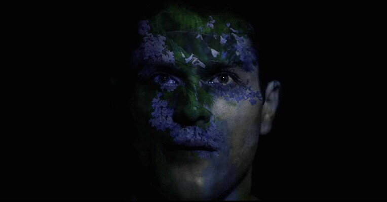 گیاه تاجریزی - پس‌زمینه