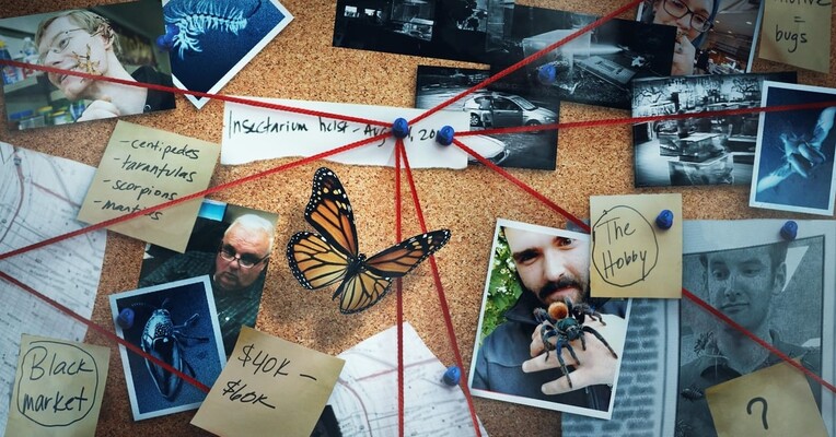 قاچاق حشرات - پس‌زمینه