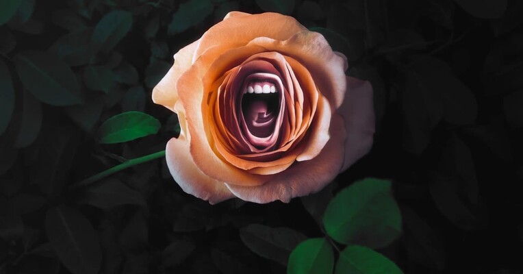 غرش - پس‌زمینه