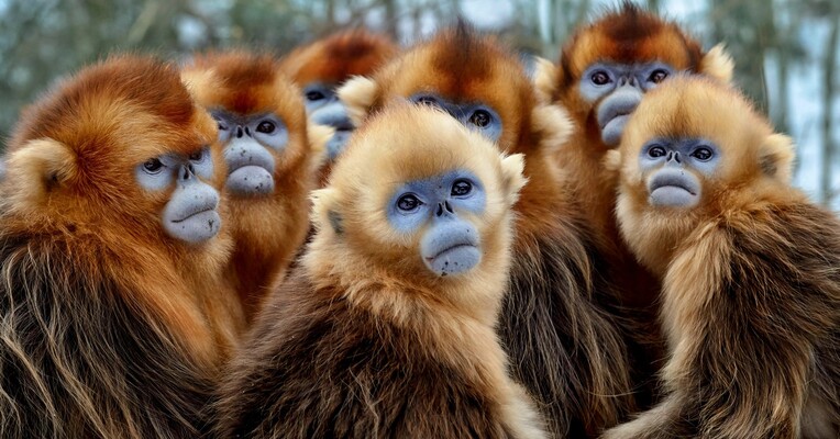 هفت جهان در یک زمین - پس‌زمینه