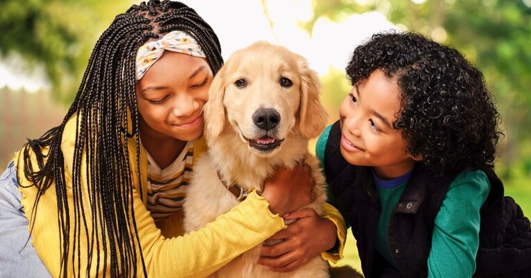 خانه‌ای برای سگ‌ها - پس‌زمینه