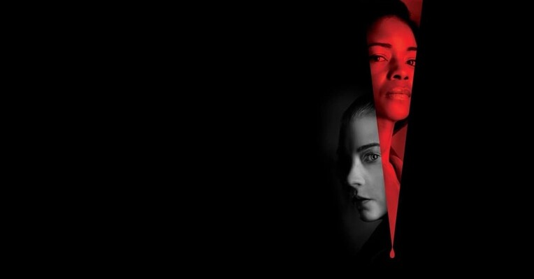 زنبور - پس‌زمینه