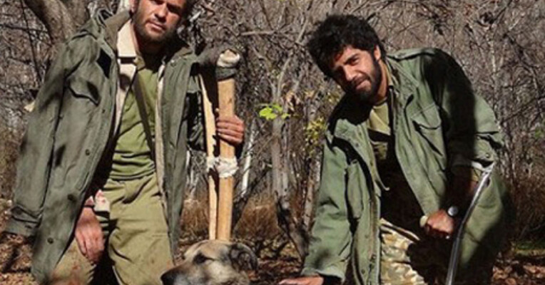 ۵۰ قدم آخر - پس‌زمینه