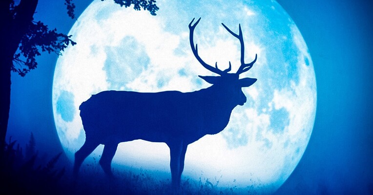 فصل‌ها - پس‌زمینه