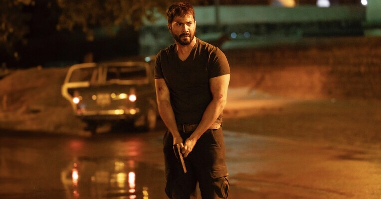 سیتادل هانی بانی - پس‌زمینه