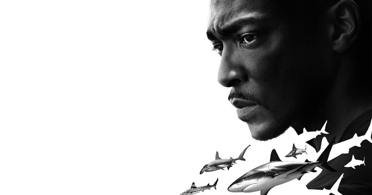 ساحل کوسه با آنتونی مکی - پس‌زمینه