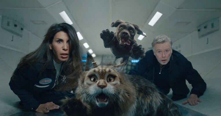 گربه و سگ - پس‌زمینه