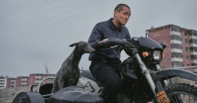 سگ سیاه - پس‌زمینه