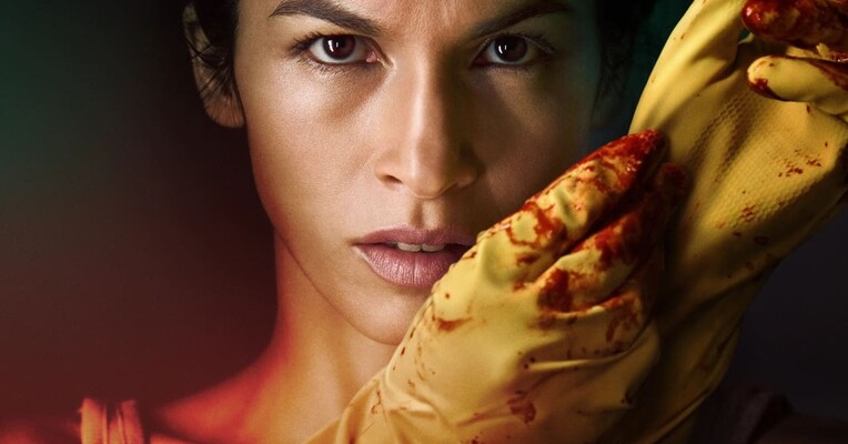 خانم نظافتچی - پس‌زمینه