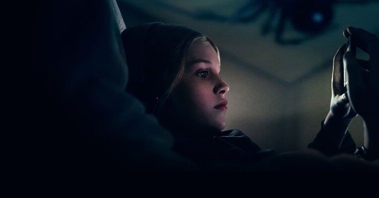 نیش - پس‌زمینه