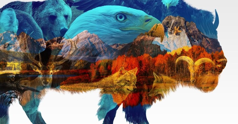 آمریکای زیبا - پس‌زمینه