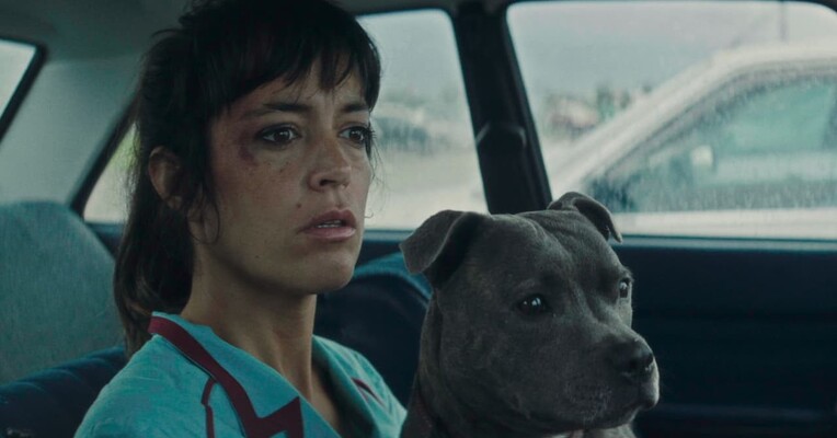 وینسنت باید بمیرد - پس‌زمینه