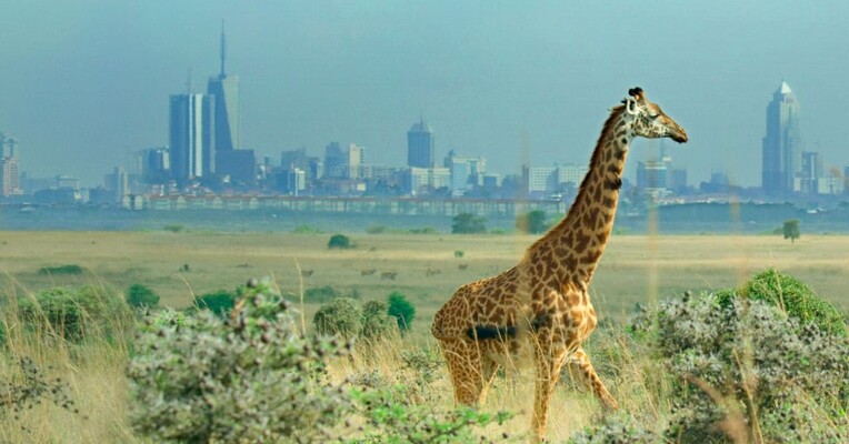 شکستن مرزها: علم سیاره ما - پس‌زمینه
