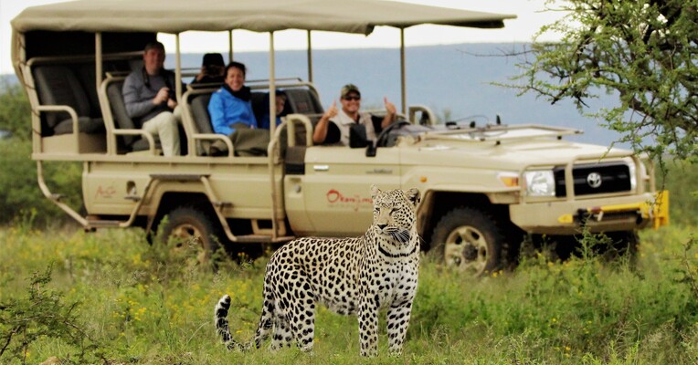 کاوشگران حیات وحش - پس‌زمینه