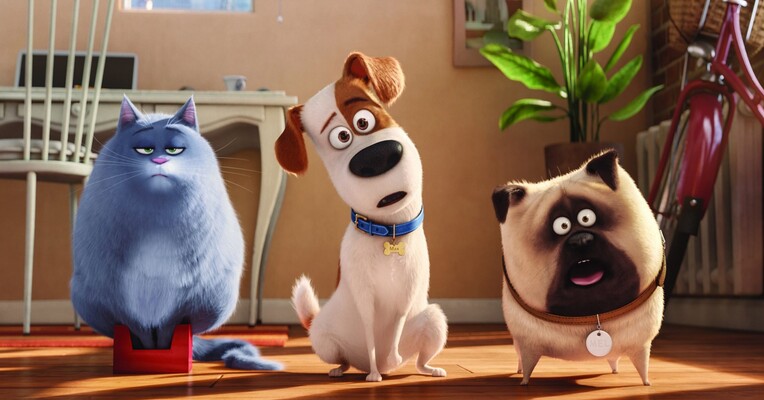 زندگی مخفی حیوانات - پس‌زمینه