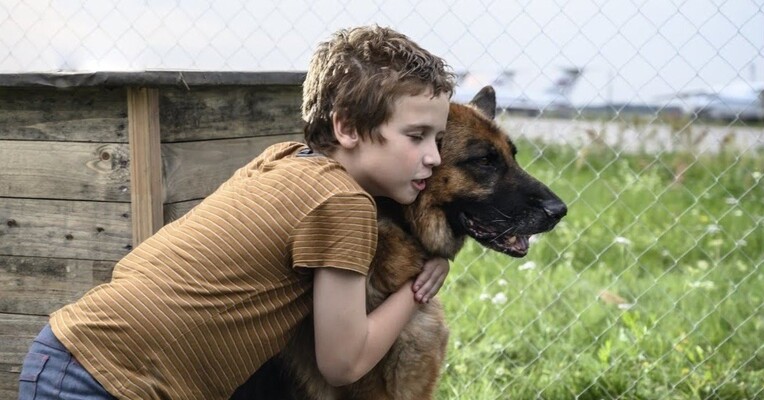 سگی به نام پالما - پس‌زمینه