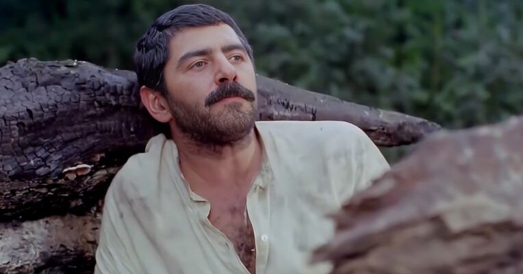 ریشه در خون - پس‌زمینه