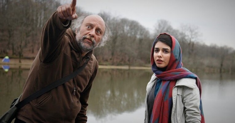 ماهی و گربه - پس‌زمینه