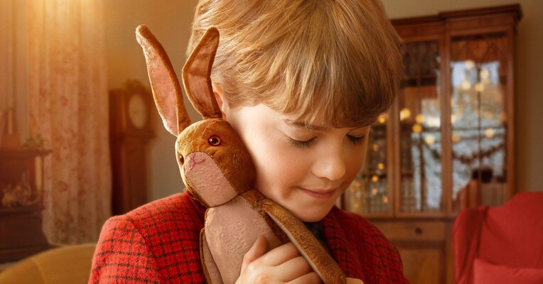 خرگوش مخملی - پس‌زمینه