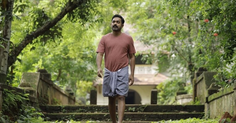 قلمروی میمون ها - پس‌زمینه