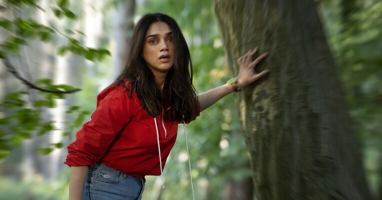 دختری در قطار - پس‌زمینه