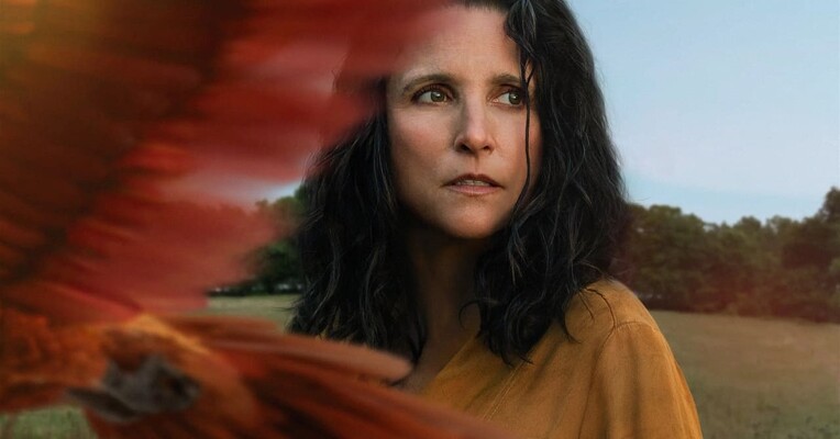 سه شنبه - پس‌زمینه