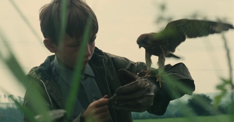 قوش - پس‌زمینه